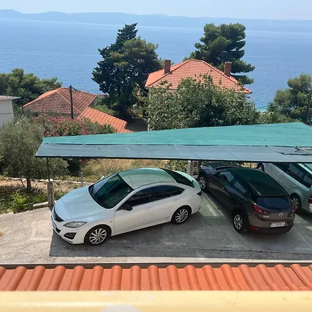 Summer Time Apartment